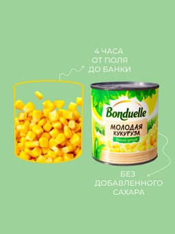 Yosh makkajo'xori Bonduelle, 340 g - rasm 2